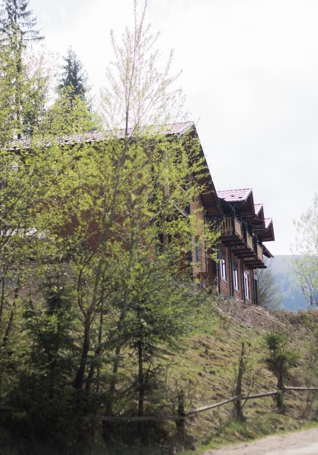 Лоджи Karpatska Oselia Верховина-17